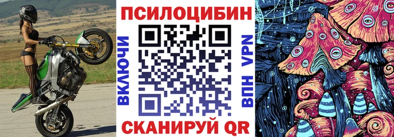 Псилоцибиновые грибы прущие грибы Аша